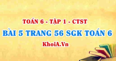 Bài 5 trang 56 SGK Toán 6 Chân trời sáng tạo Tập 1